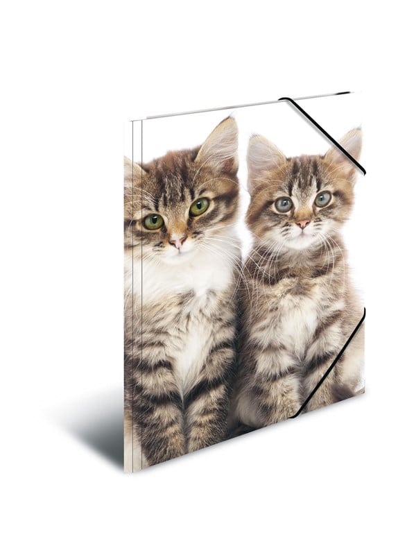 HERMA Elasticated folder A3 PP Cats