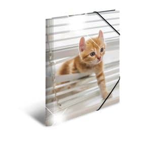 HERMA Elasticated folder glossy animals A3 PP cats