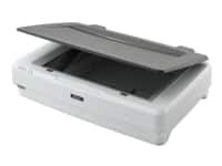 Epson Expression 12000XL - Flatbed-scanner - A3 - 2400 dpi x 4800 dpi - USB 2.0