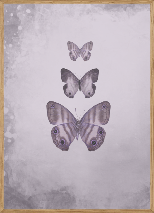 BUTTERFLIES - ROSA - BØRNEPLAKAT A3 (29,7 x 42cm) - BØRN > BØRNEPLAKATER - Living Nature