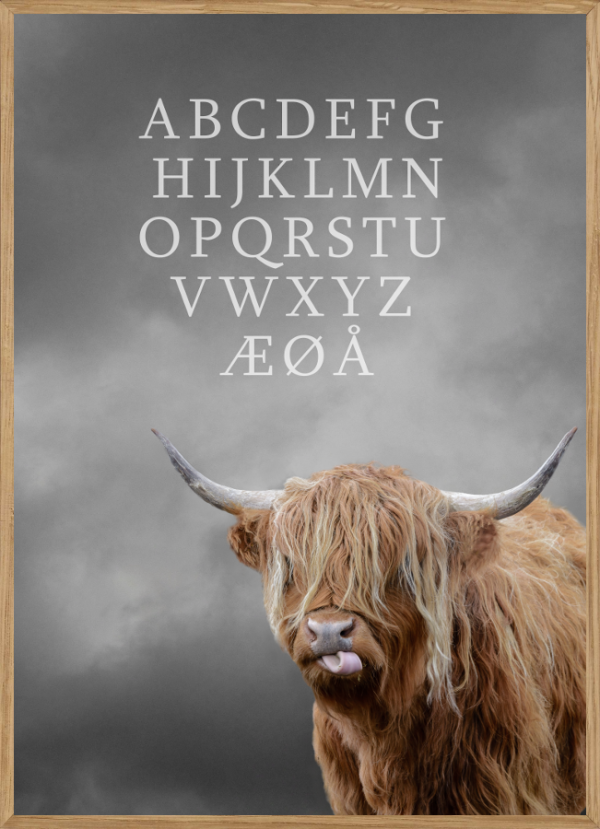 CATTLE ABC - BØRNEPLAKAT A3 (29,7 x 42cm) - BØRN > BØRNEPLAKATER - Living Nature