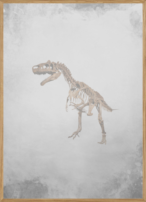 GREY DINOSAUR - BØRNEPLAKAT A3 (29,7 x 42cm) - BØRN > BØRNEPLAKATER - Living Nature