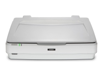 Epson Expression 13000XL - Flatbed-scanner - A3 - 2400 dpi x 4800 dpi - USB 2.0