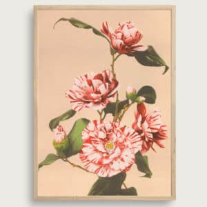 Ogawa Kazumasa #5 | Størrelse A3 | taishō