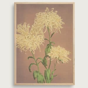 Ogawa Kazumas #2 | Størrelse A3 | taishō